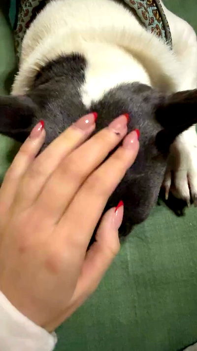 danaikontodiou danaikontodiou archive video