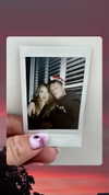 liza_kremer Altpins Profile Picture