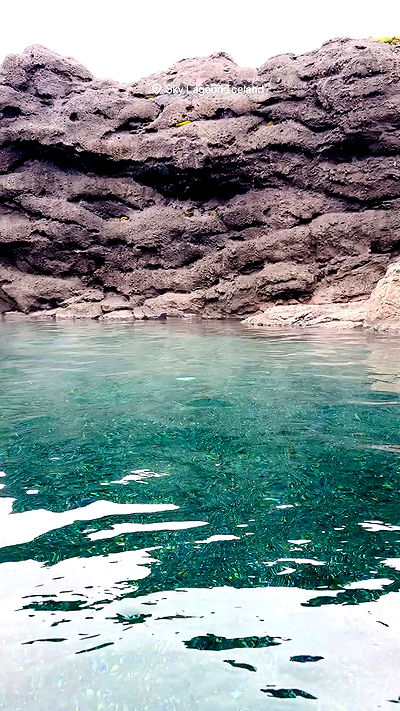 taylor.creeden taylor.creeden archive video