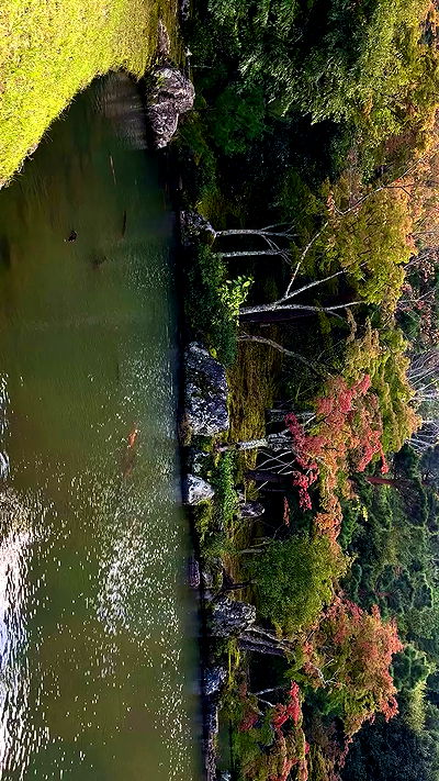 taylor.creeden taylor.creeden archive video