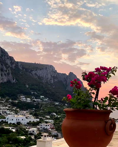 taylor.creeden taylor.creeden archive video