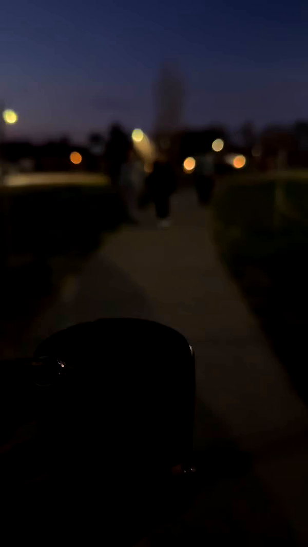 _aldibernardo archive video preview