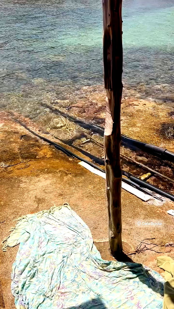 pia__kim archive video preview