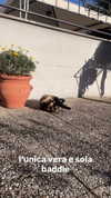 _cla._8 Altpins Profile Picture