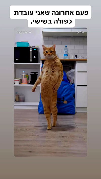 shelly_.mor shelly_.mor archive video