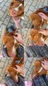 feelbetterinmysweater Altpins Profile Picture