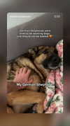 emily_new2 Altpins Profile Picture