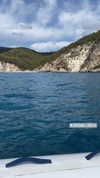 federica.piccinni Altpins Profile Picture