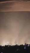 adyanacovelli Altpins Profile Picture