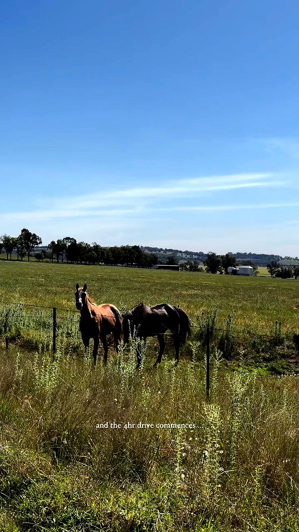 sophadophaa_ archive video preview