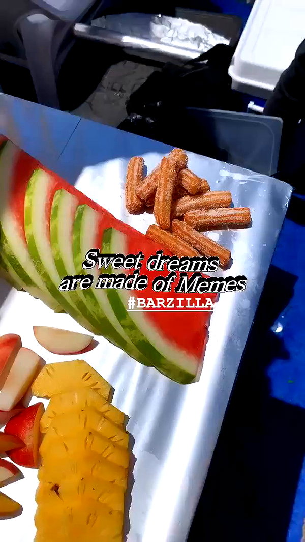 barzomer archive video preview