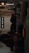 maycohen8 Altpins Profile Picture