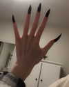 danielle.mercedie Altpins Profile Picture