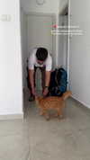 mishel_d_ Altpins Profile Picture