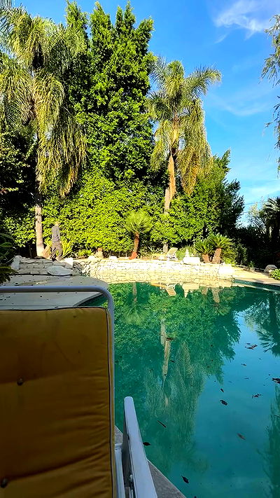 sophiemudd sophiemudd archive video