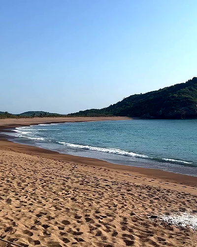 taylor.creeden taylor.creeden archive video