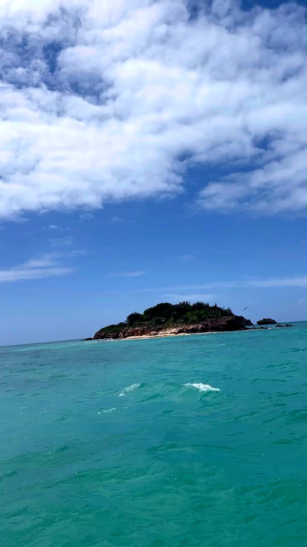 svgarbvnnies archive video preview