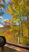 karin_orhov Altpins Profile Picture