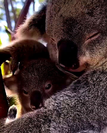 taylor.creeden taylor.creeden archive video