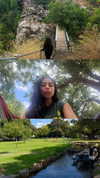 yahel_tubul Altpins Profile Picture