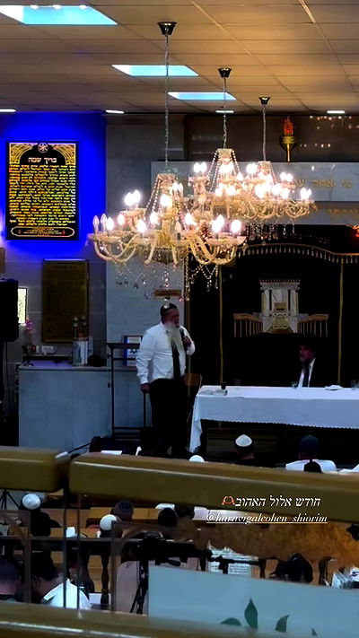 larin_manor1 larin_manor1 archive video