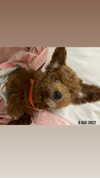 kteaworld Altpins Profile Picture