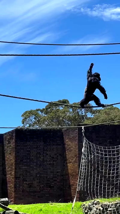 taylor.creeden taylor.creeden archive video