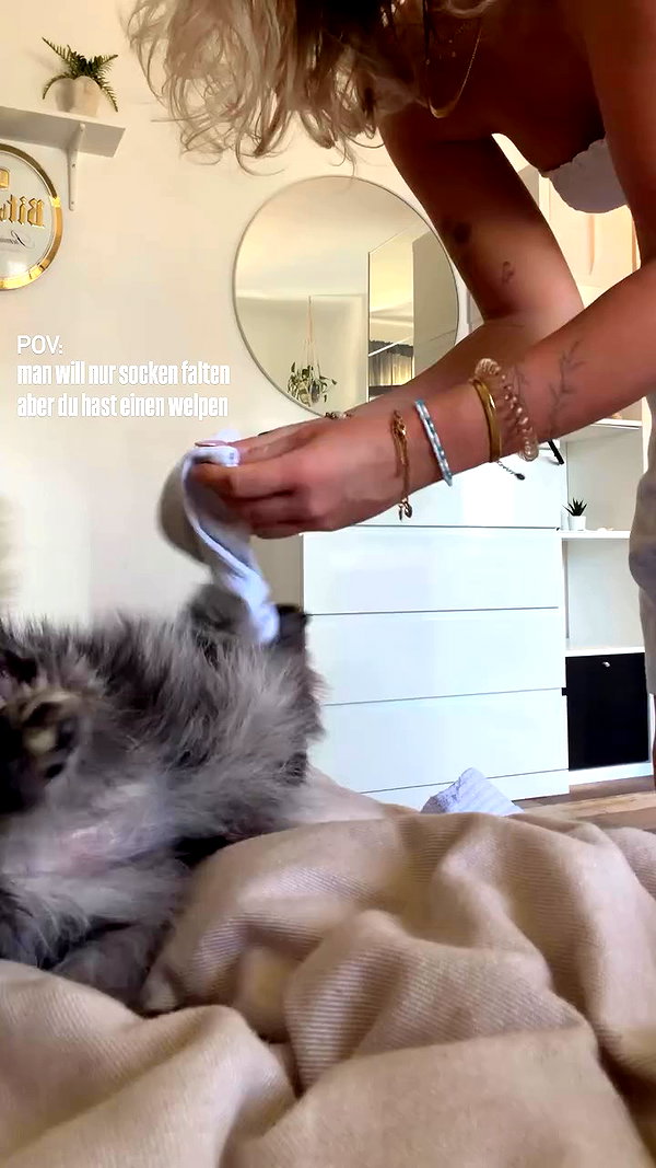 nina.kxs archive video preview