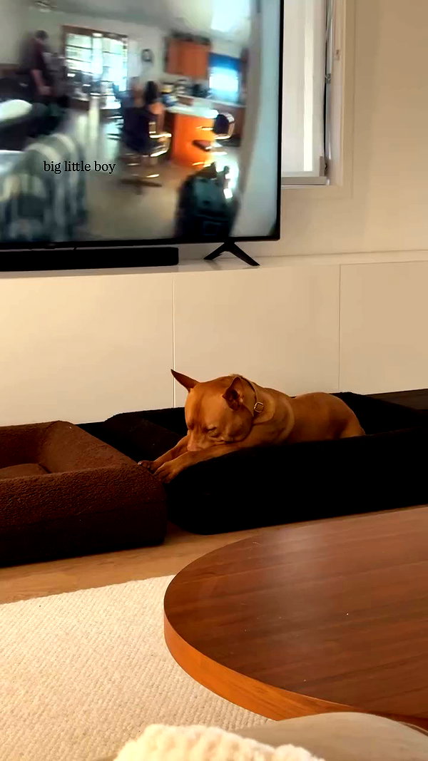 olivia.mathers archive video preview
