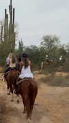 payton.r Altpins Profile Picture