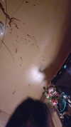 imprettydeadgirl Altpins Profile Picture