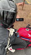 kaniiberry Altpins Profile Picture