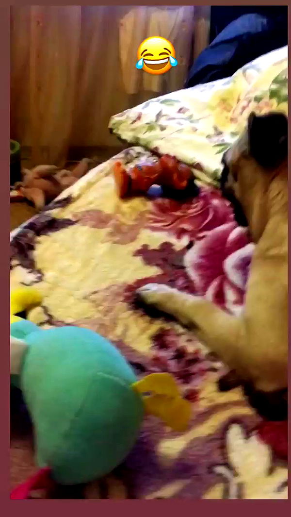 nyityam archive video preview