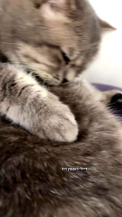 natalllluli natalllluli archive video