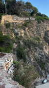 alexrakushkin12 Altpins Profile Picture