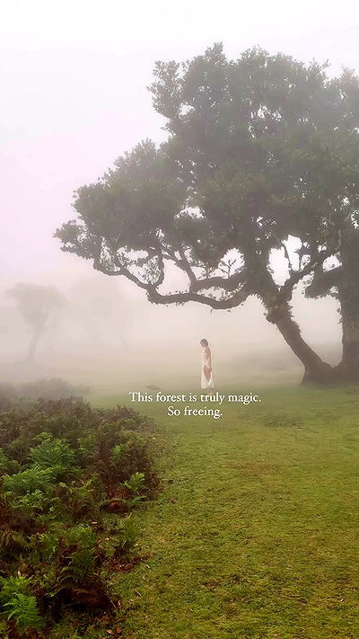 taylor.creeden taylor.creeden archive video