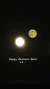 blossom_in_my_moonlight Altpins Profile Picture