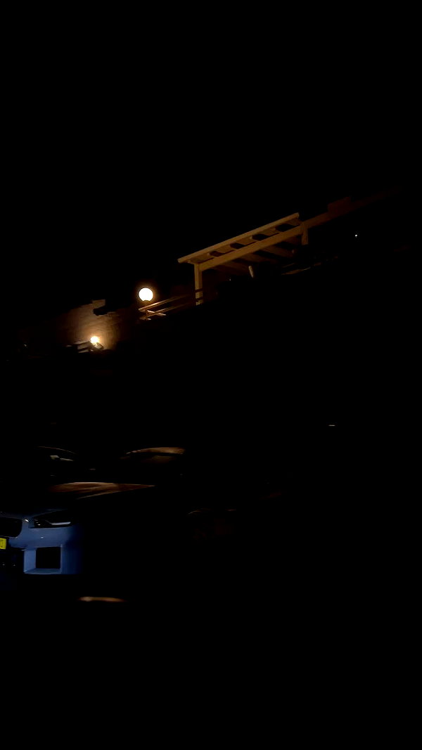simp_for_cats_ archive video preview