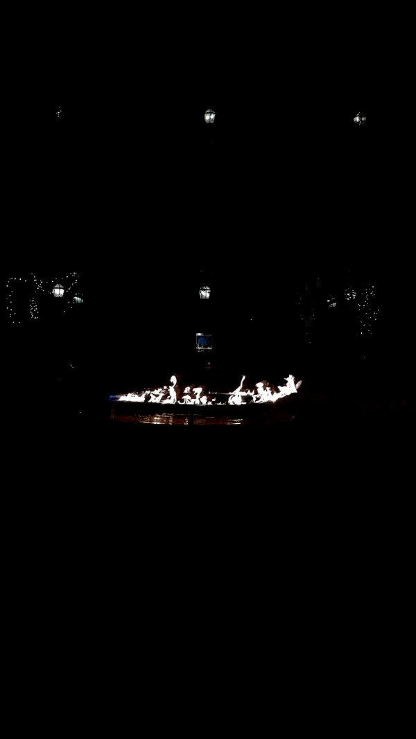 taylor.creeden archive video preview