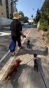 libby_reut Altpins Profile Picture