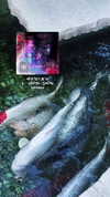 avital_1010.2003 Altpins Profile Picture