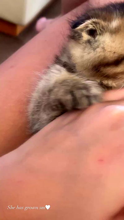 taylor.creeden taylor.creeden archive video