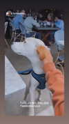 gabbyepstein Altpins Profile Picture