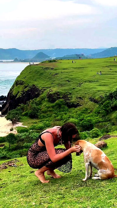 taylor.creeden taylor.creeden archive video