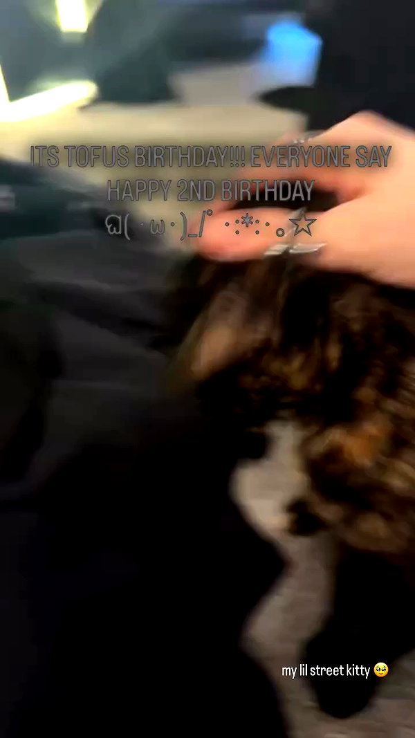 soupikitty archive video preview