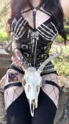 butter.on.a.poptart69 Altpins Profile Picture