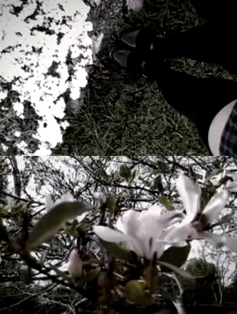 fleshporcelain archive video preview
