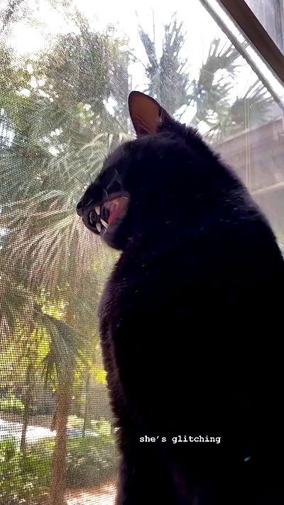 suikomuu suikomuu archive video