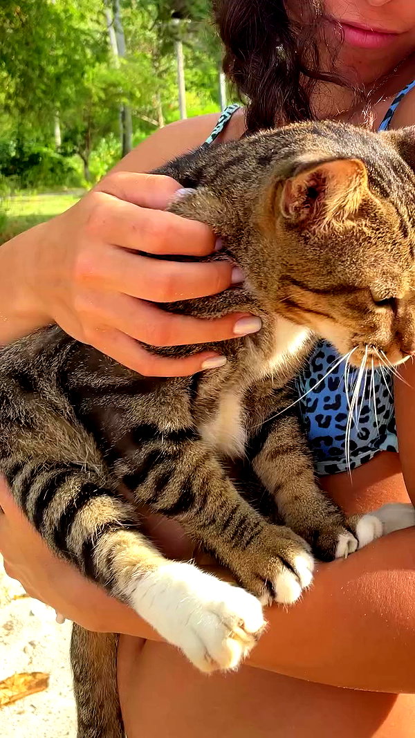 tamagotkri archive video preview