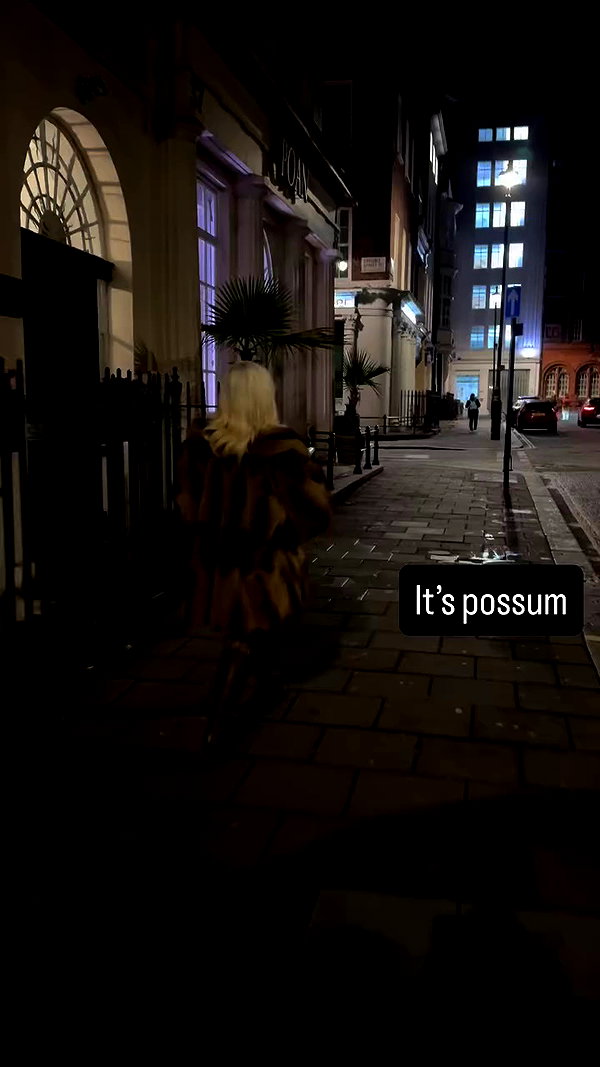amberxswain archive video preview